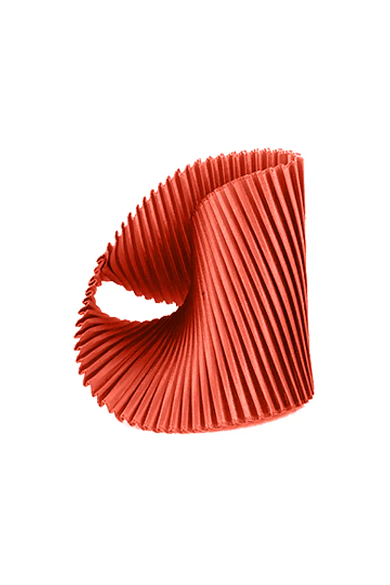 Shell Bracelet