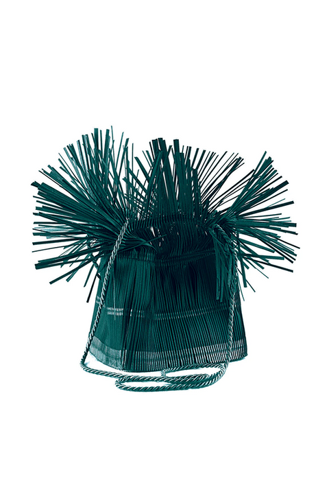 Is This a Bag?